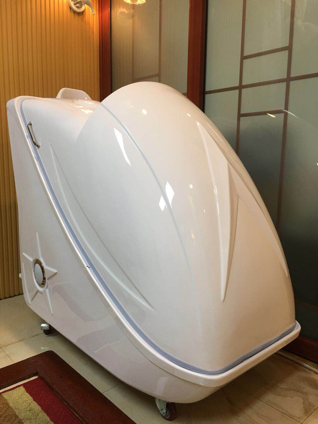 Ozone Steam Sauna Spa Capsule